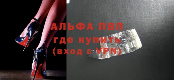 гашик Алексин