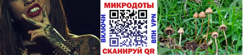 Псилоцибиновые грибы Cubensis  Белоусово 